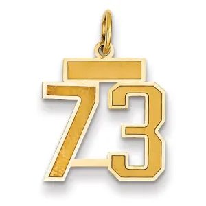 14k Yellow Gold Satin Brush Finish Small Size Number 73 Charm Pendant