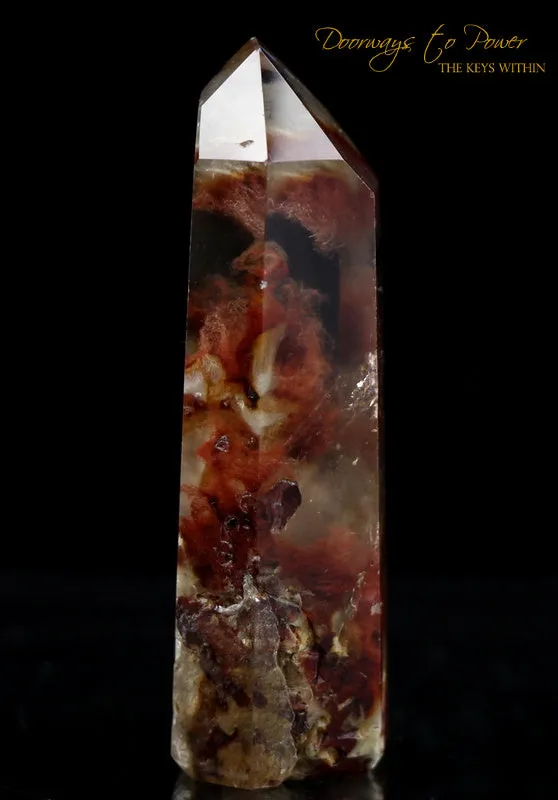 Angel Phantom Amphibole Master Initiation Channeling Quartz Crystal Point