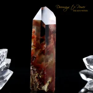 Angel Phantom Amphibole Master Initiation Channeling Quartz Crystal Point