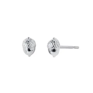 Christin Ranger Silver Acorn Stud Earrings