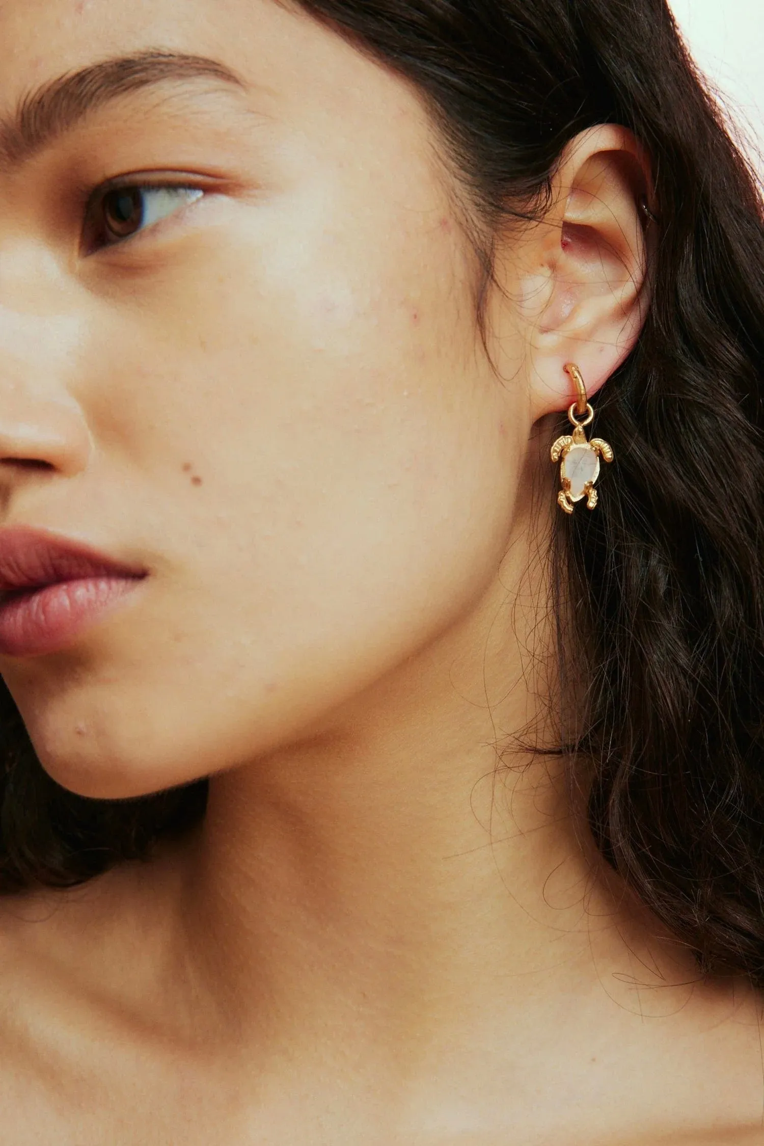 Gold Encanto Turtle Drop Earrings