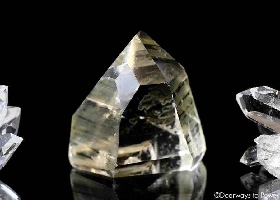 Golden Healer Lemurian Seed Record Keeper Crystal & Pleiadian Starbrary