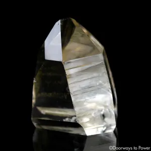 Golden Healer Lemurian Seed Record Keeper Crystal & Pleiadian Starbrary