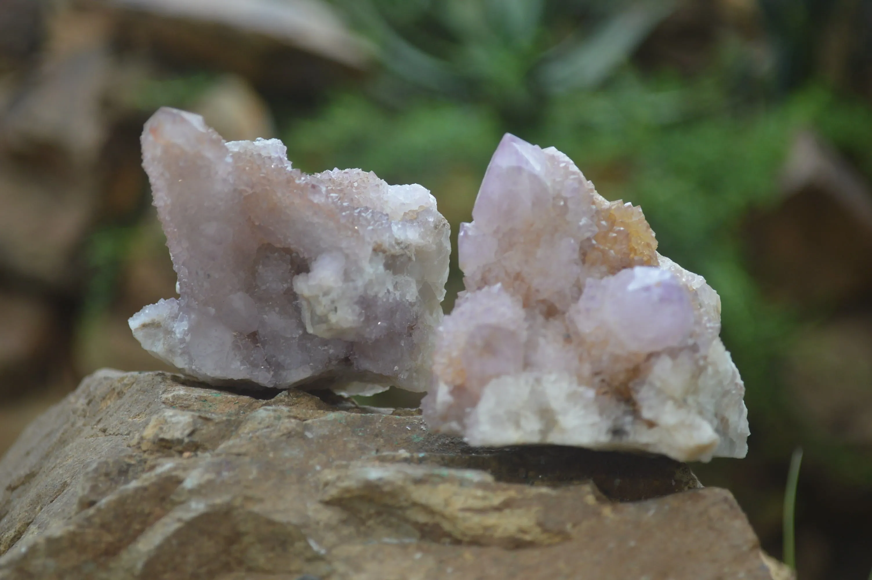 Natural Amethyst Spirit Quartz Clusters x 6 From Boekenhouthoek, South Africa