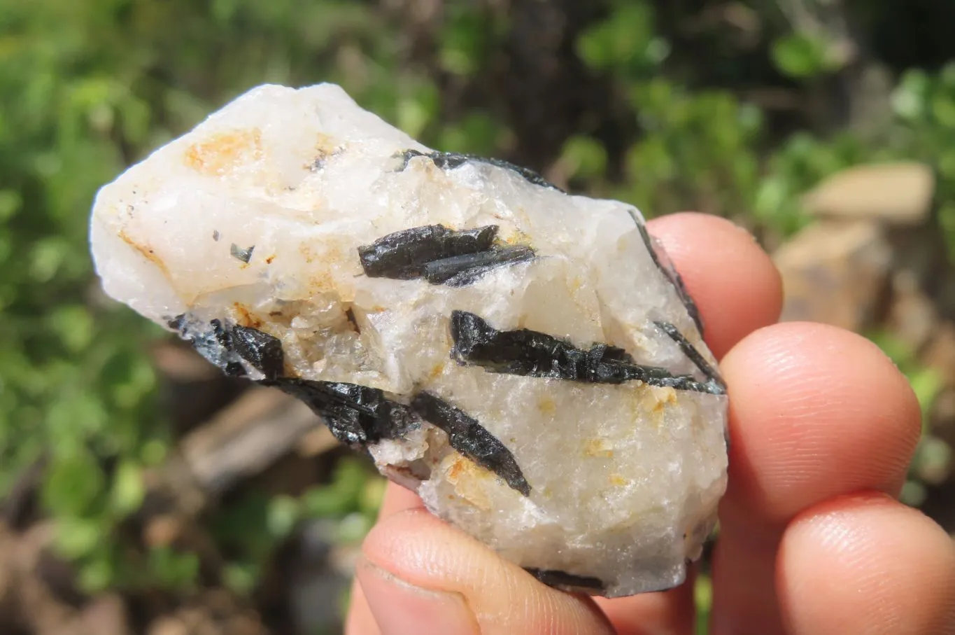 Natural Black Tourmaline On Quartz Specimens x 69 From Namibia