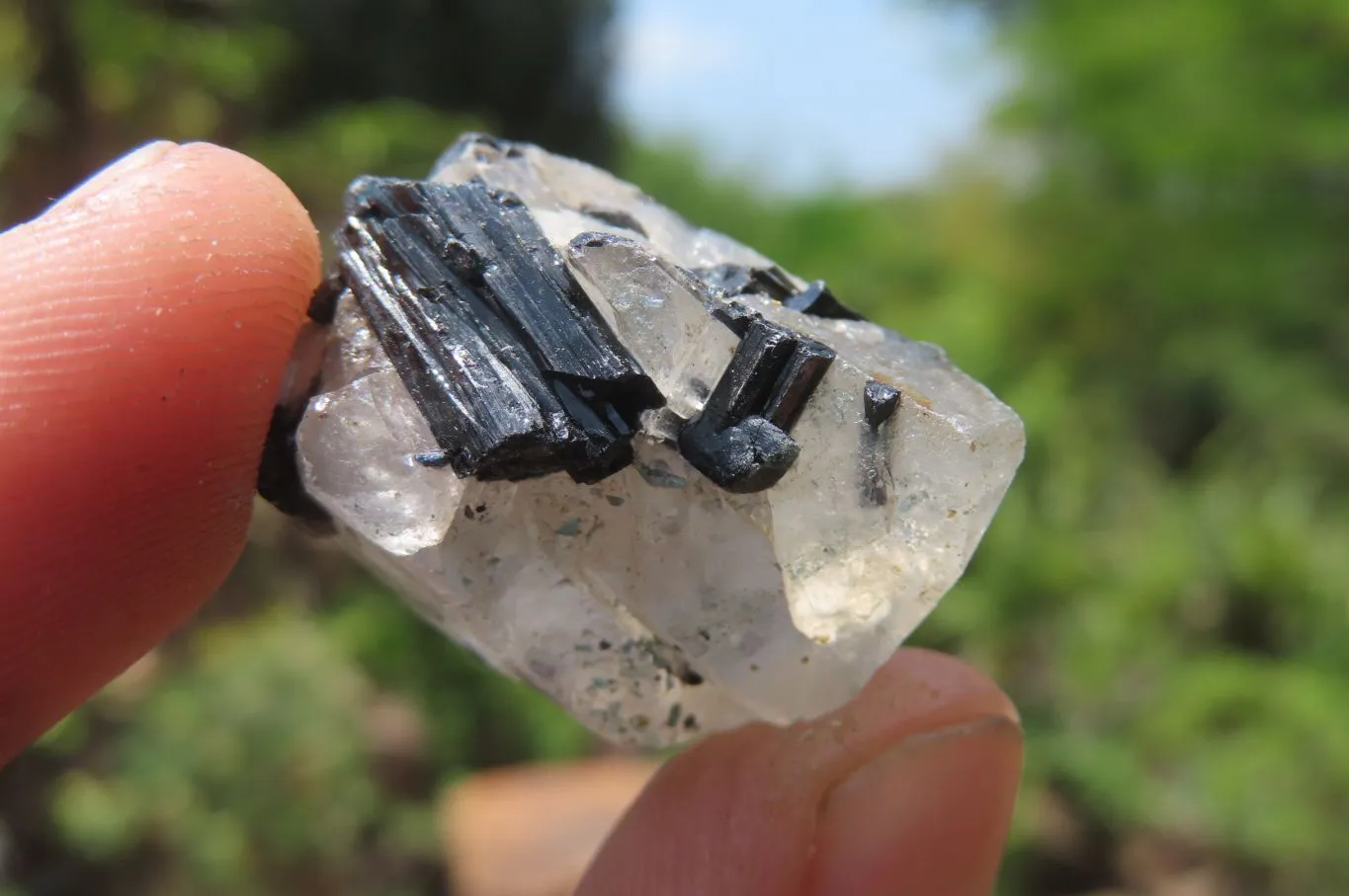 Natural Black Tourmaline On Quartz Specimens x 69 From Namibia