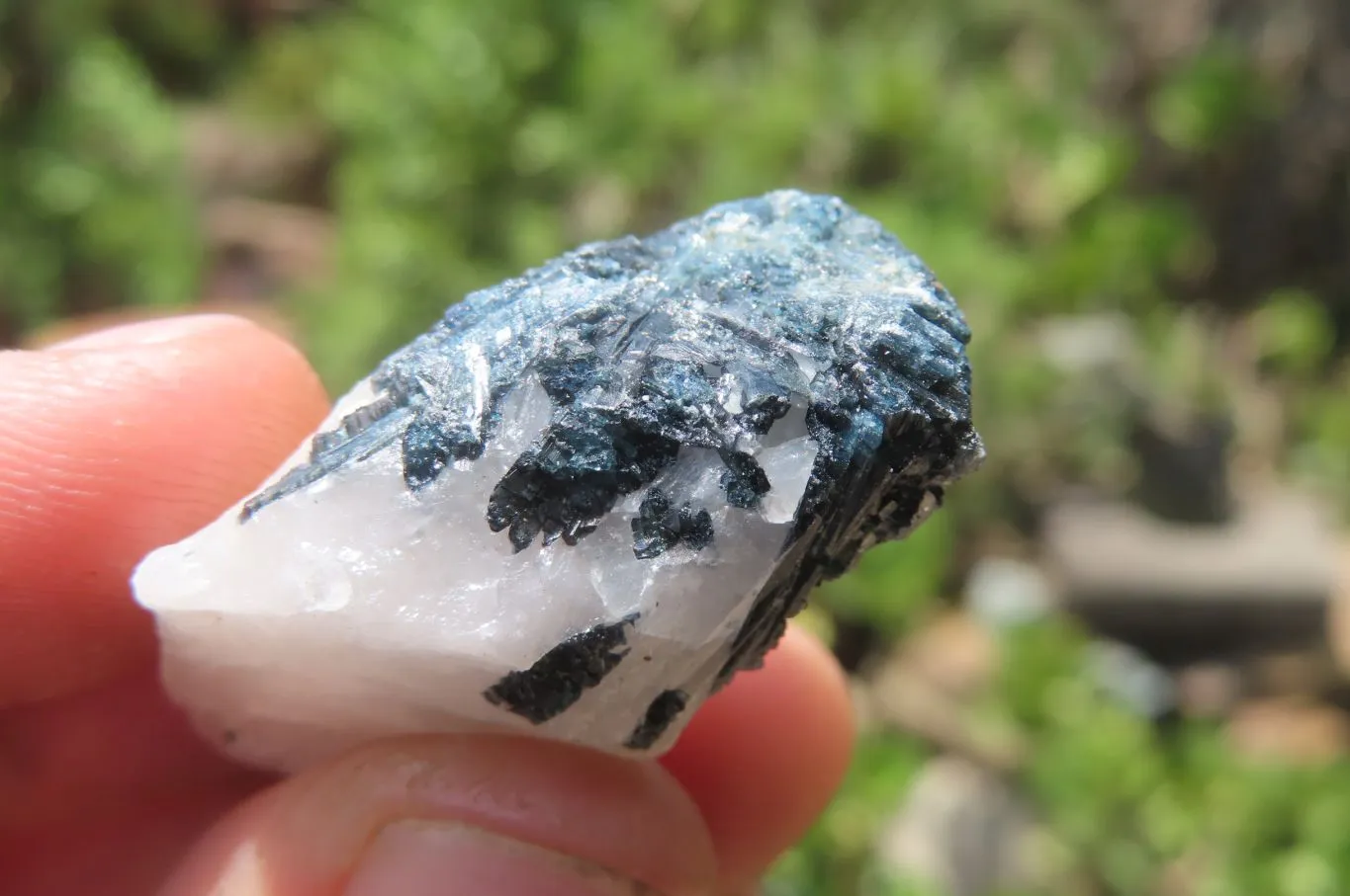 Natural Black Tourmaline On Quartz Specimens x 69 From Namibia