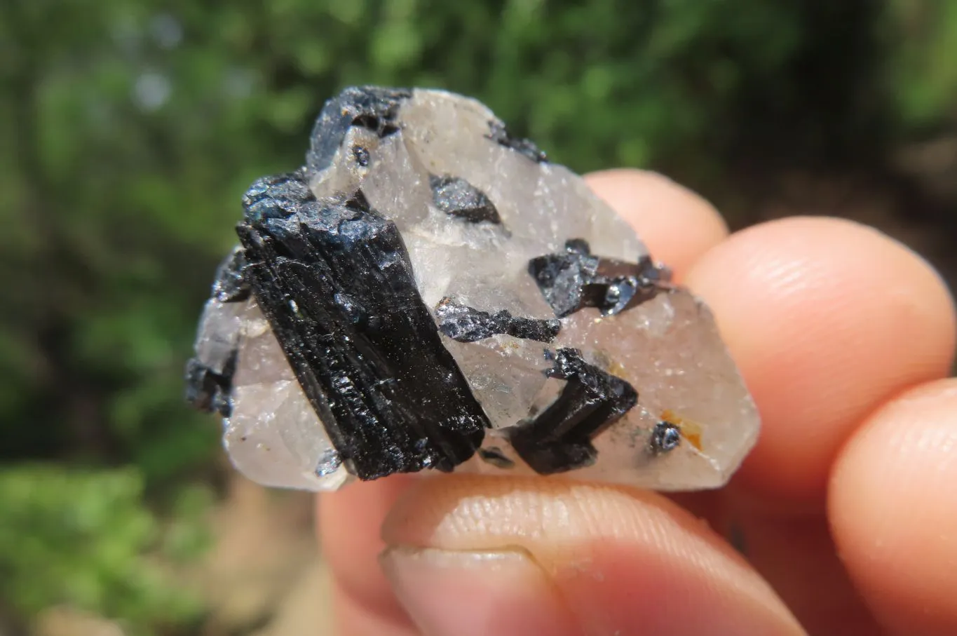 Natural Black Tourmaline On Quartz Specimens x 69 From Namibia