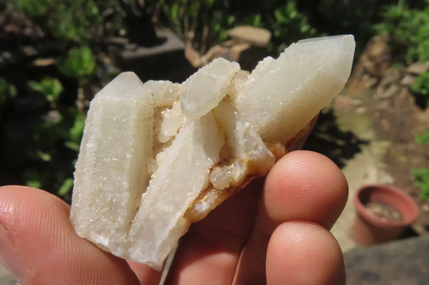 Natural Fairy Spirit Quartz Clusters x 23 From Boekenhouthoek, South Africa