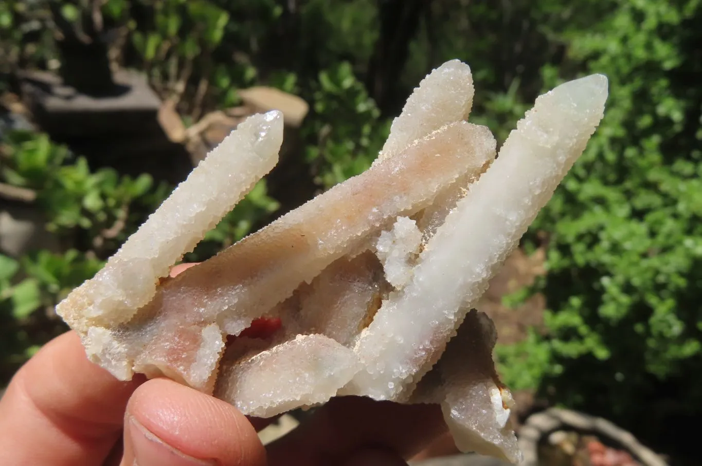 Natural Fairy Spirit Quartz Clusters x 23 From Boekenhouthoek, South Africa