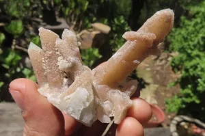 Natural Fairy Spirit Quartz Clusters x 23 From Boekenhouthoek, South Africa