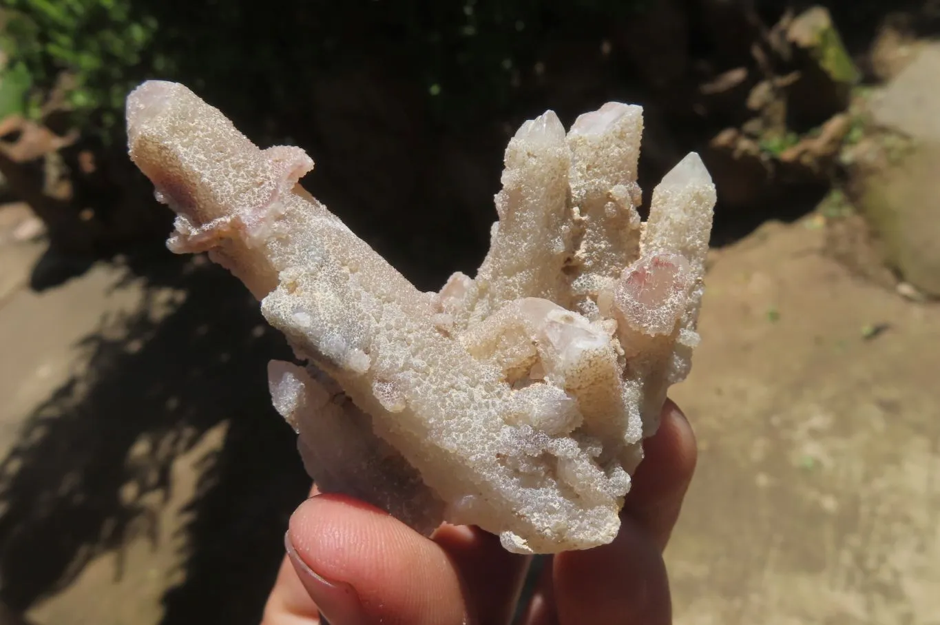 Natural Fairy Spirit Quartz Clusters x 23 From Boekenhouthoek, South Africa