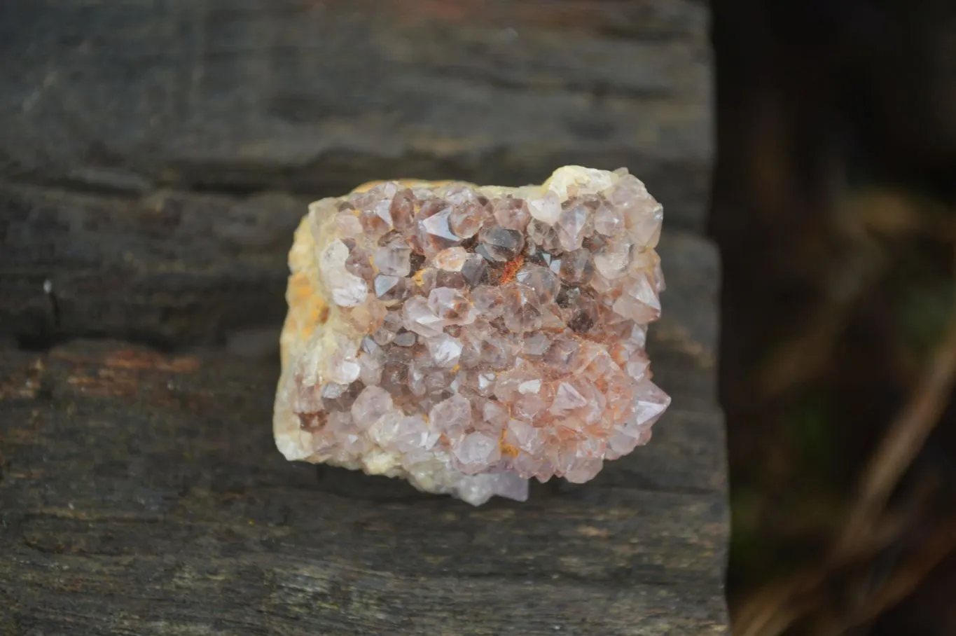 Natural Mixed Mini Spirit Quartz Crystals x 70 From Boekenhouthoek, South Africa