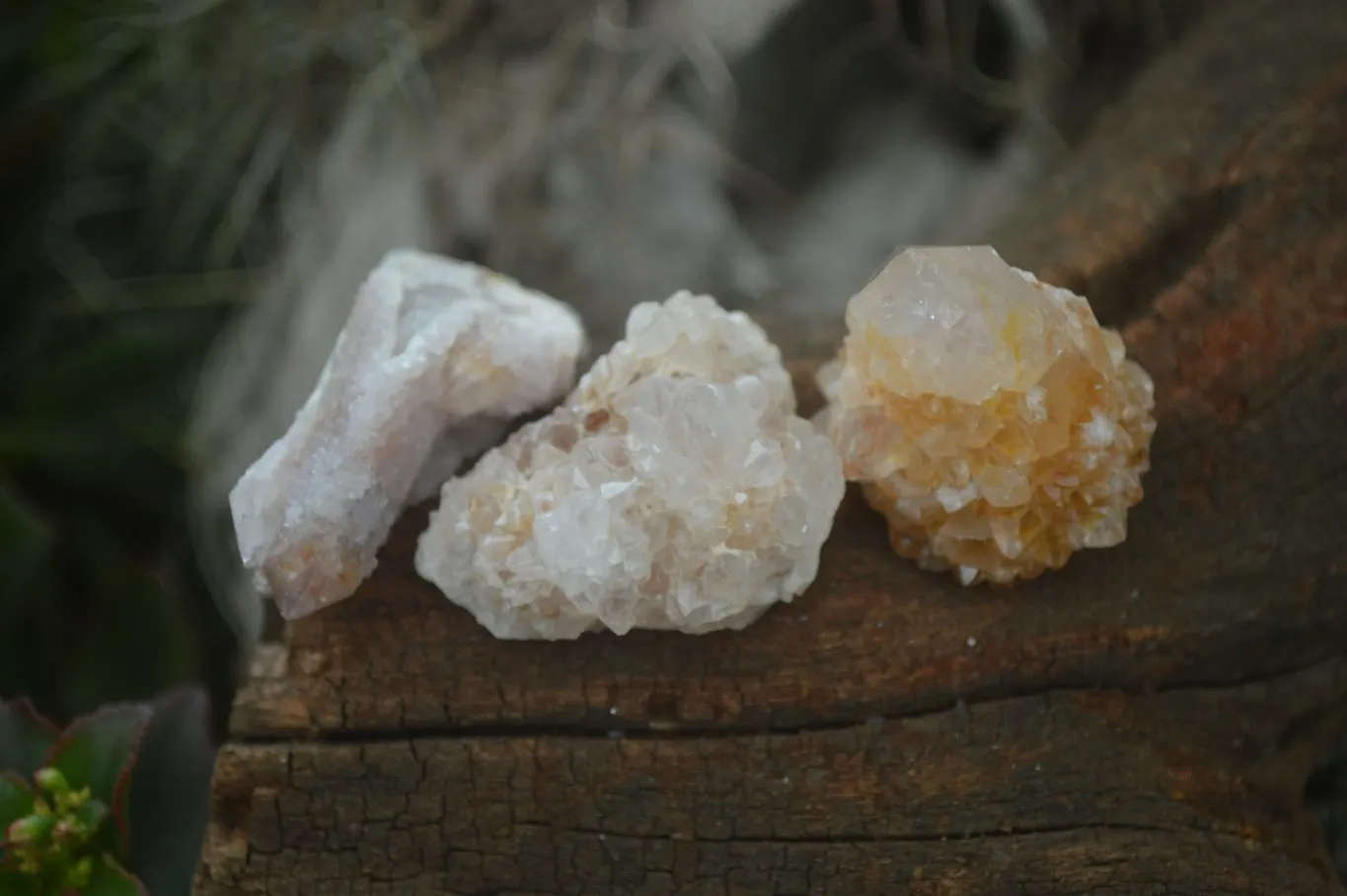 Natural Mixed Mini Spirit Quartz Crystals x 70 From Boekenhouthoek, South Africa