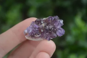 Natural Mixed Mini Spirit Quartz Crystals x 70 From Boekenhouthoek, South Africa