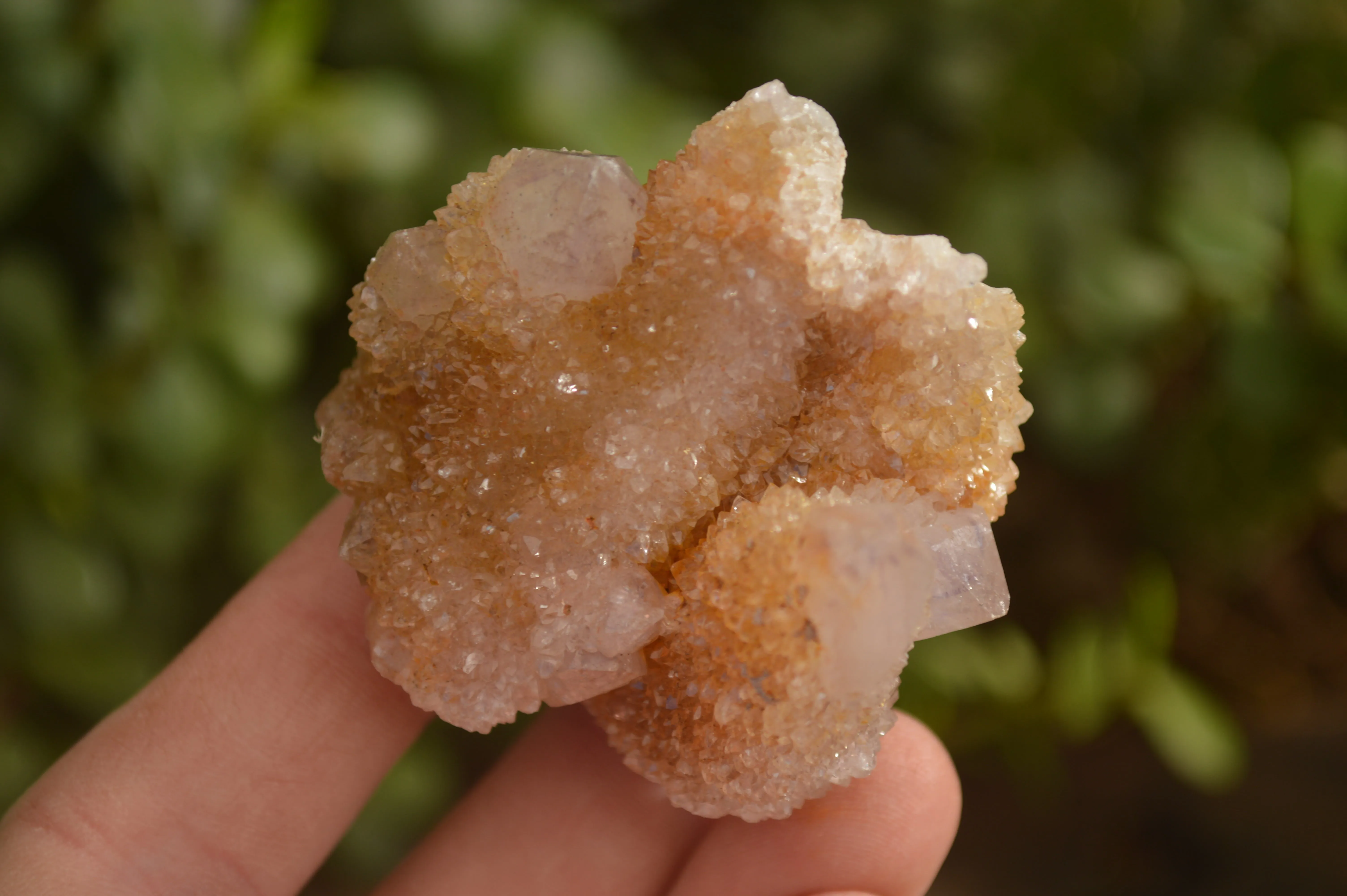 Natural Mixed Selection Of Quartz Specimens x 35 From Southern Africa