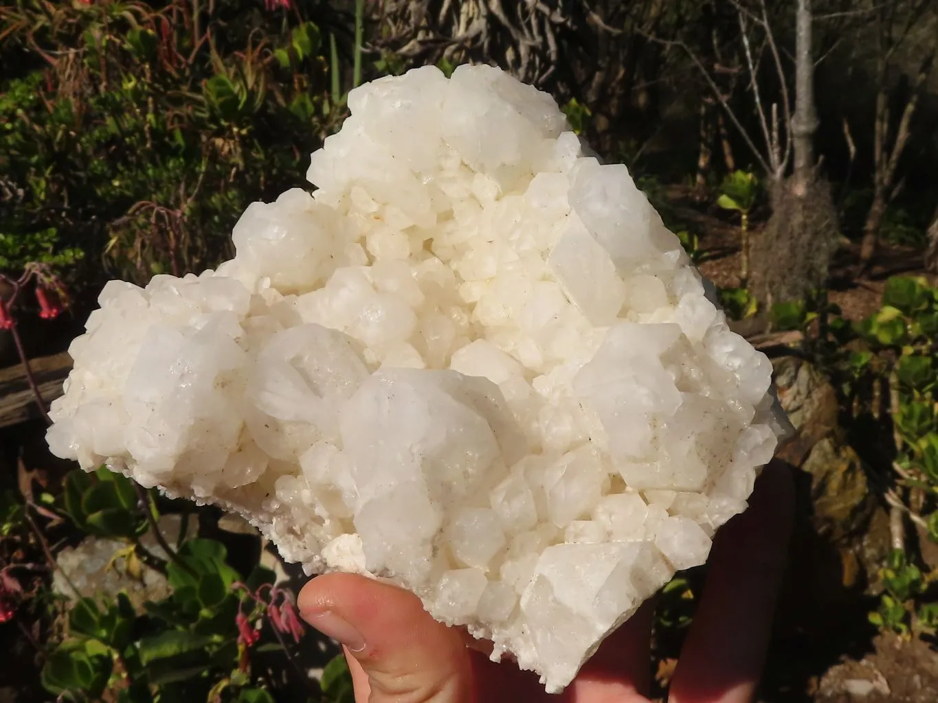 Natural "Cathedral Window" Candle Quartz Formations x 2 From Madagascar