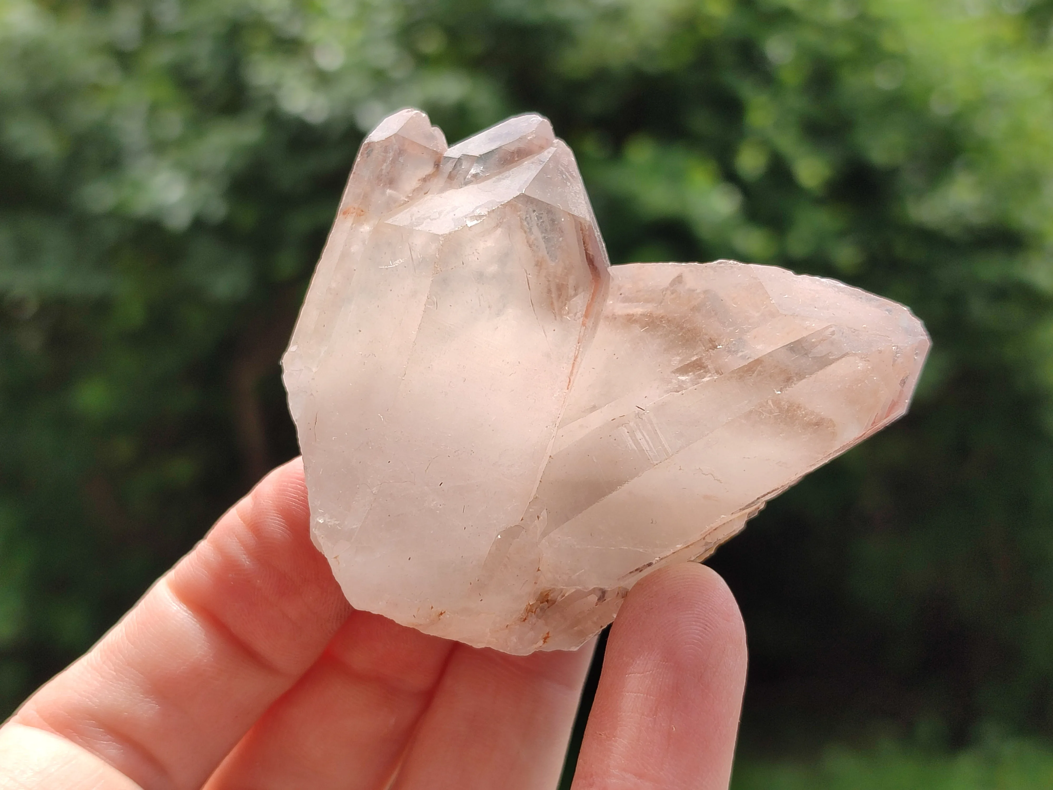 Natural Red Hematoid Quartz Specimens x 12 From Zimbabwe