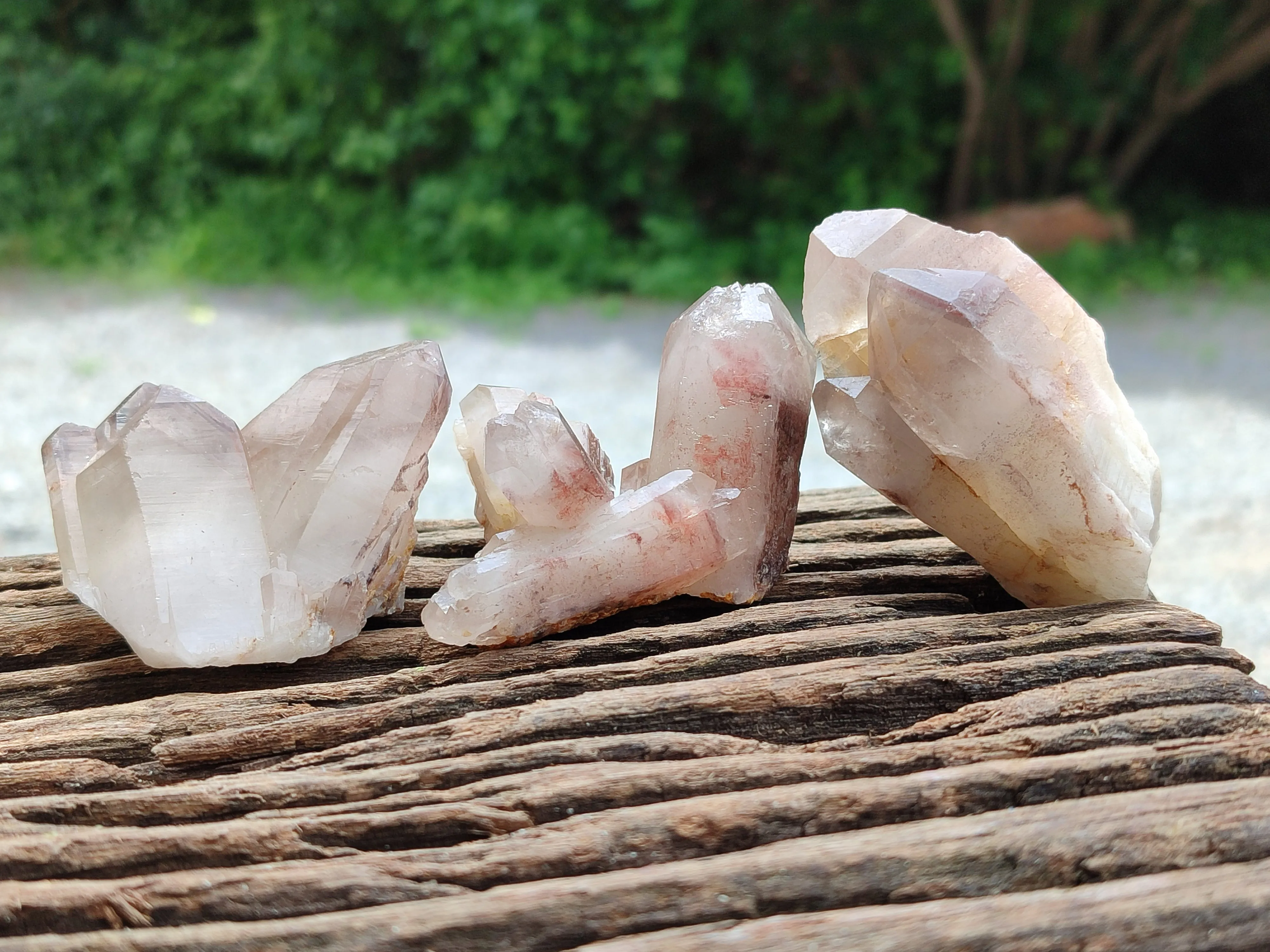 Natural Red Hematoid Quartz Specimens x 12 From Zimbabwe