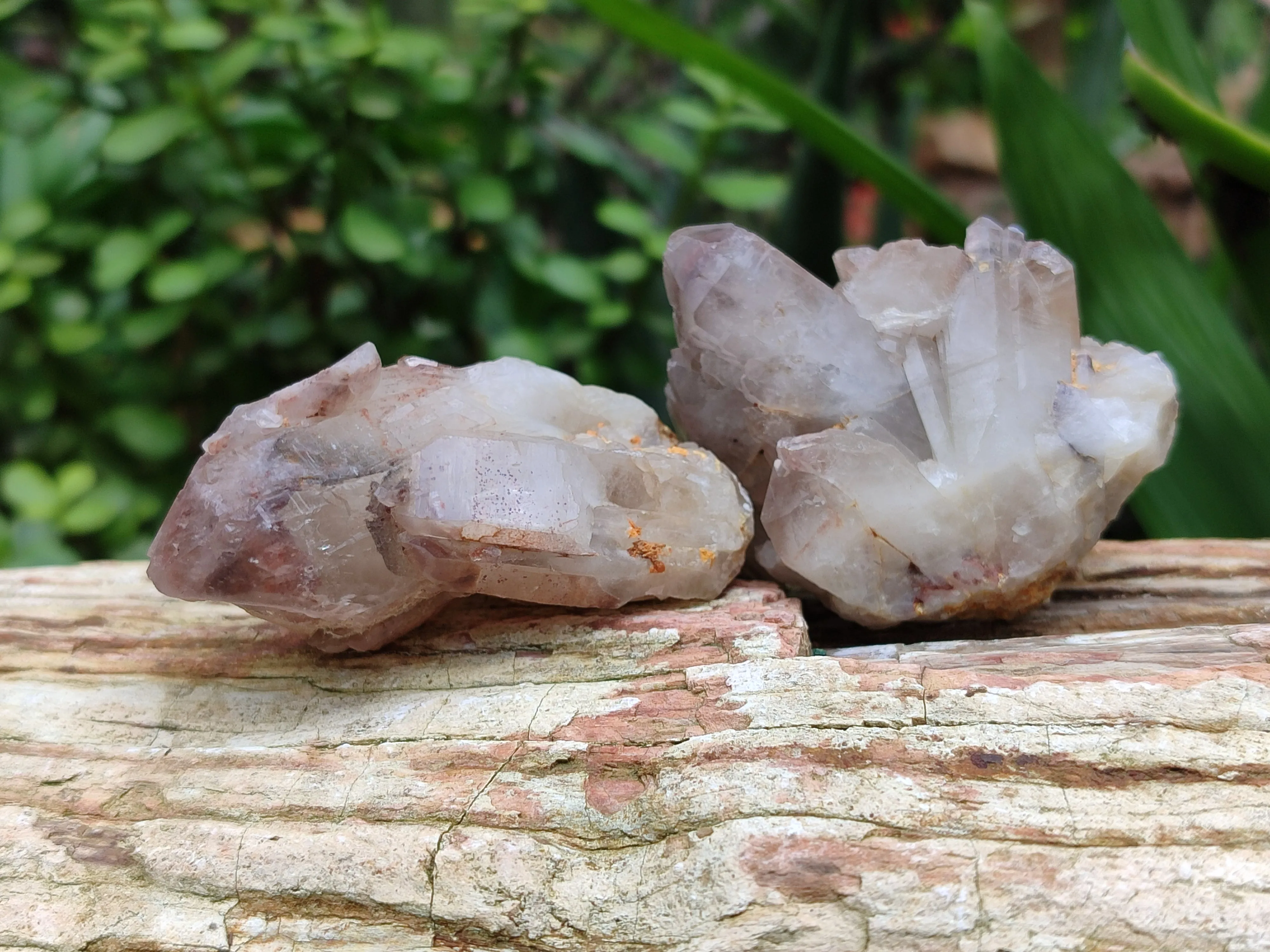 Natural Red Hematoid Quartz Specimens x 12 From Zimbabwe