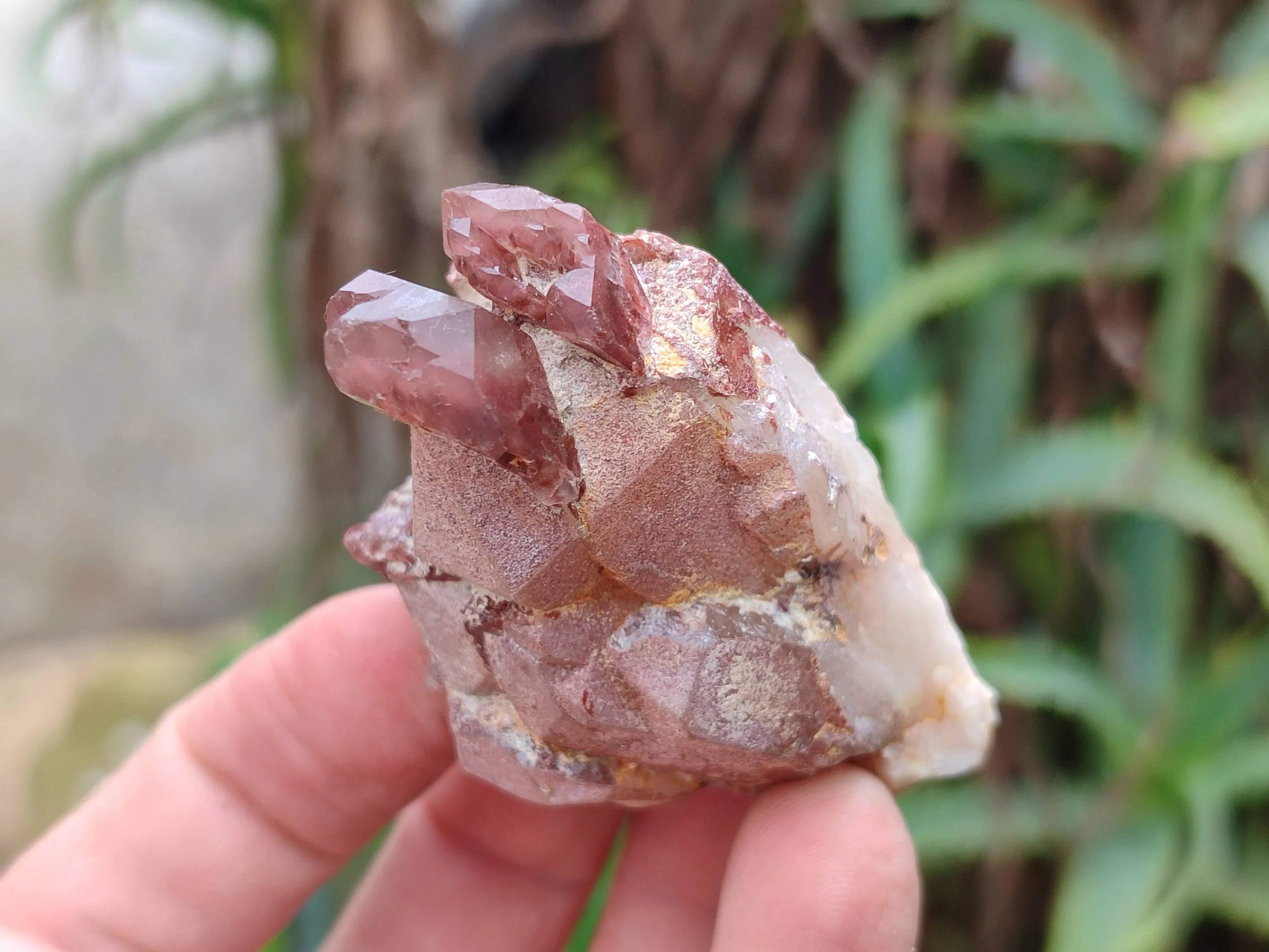 Natural Red Hematoid Quartz Specimens x 12 From Zimbabwe