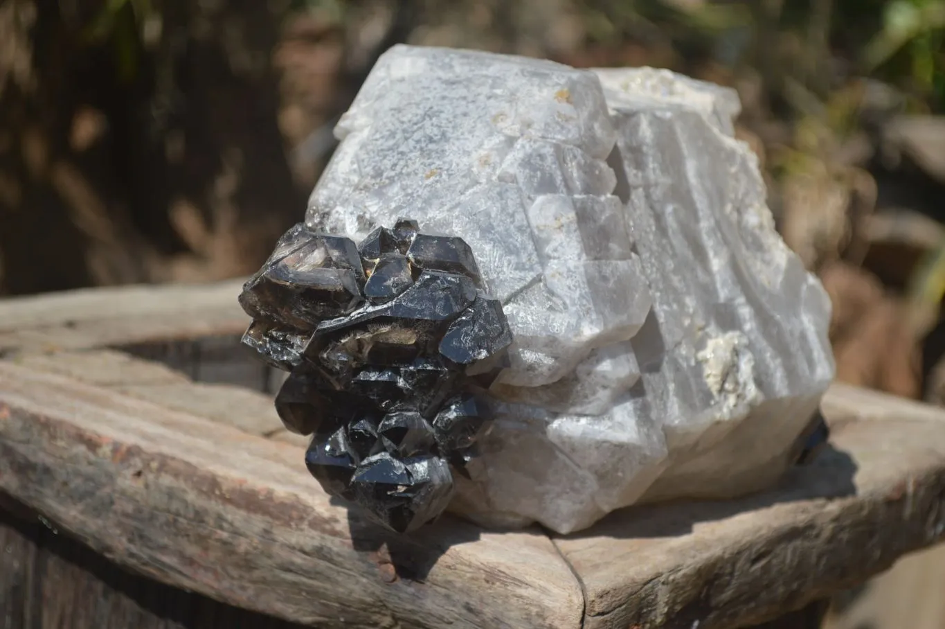 Natural Smokey Window Quartz Crystal Specimen x 1 From Brandberg, Namibia