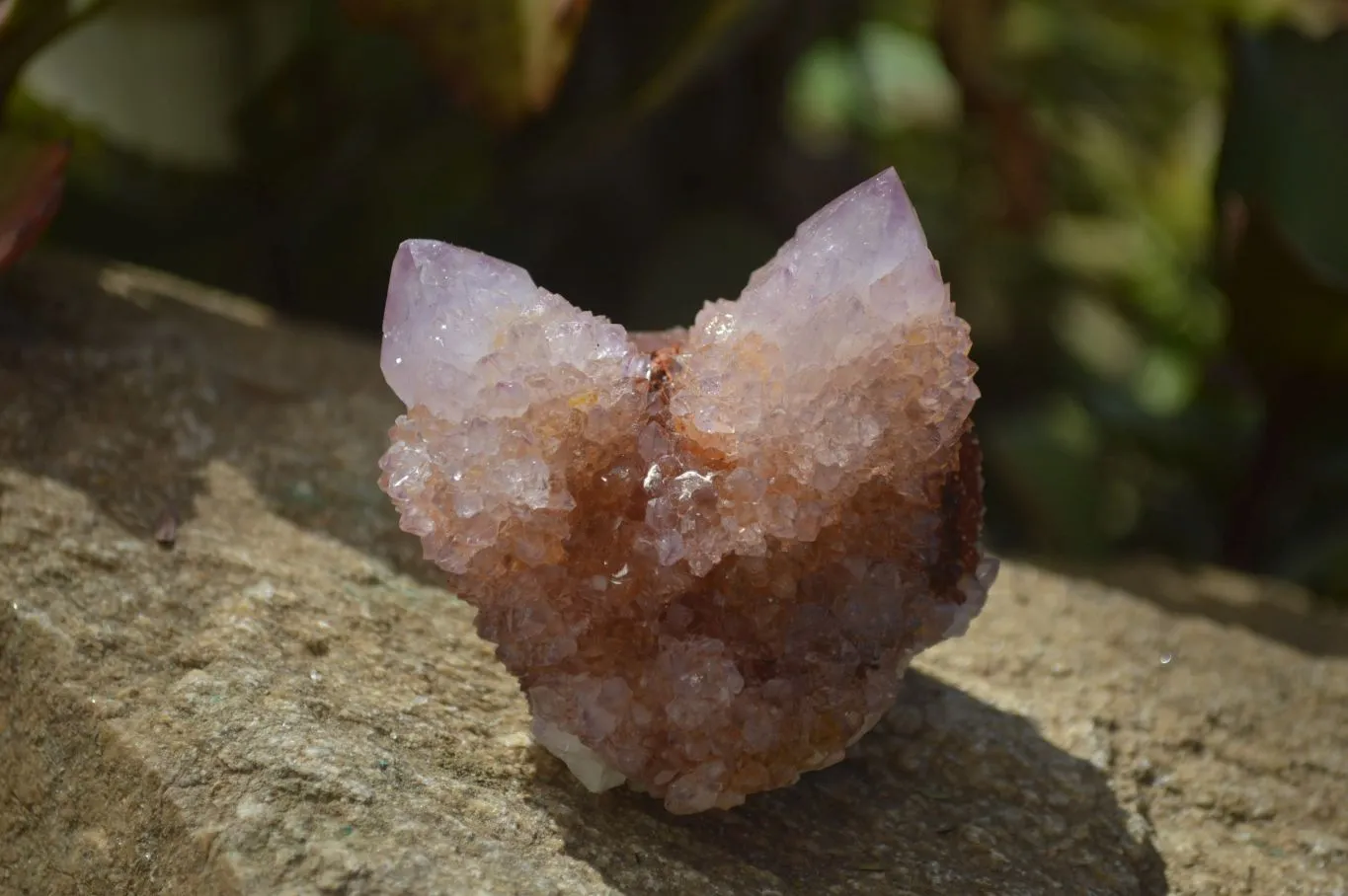 Natural Spirit Ametrine Quartz Clusters x 6 From Boekenhouthoek, South Africa