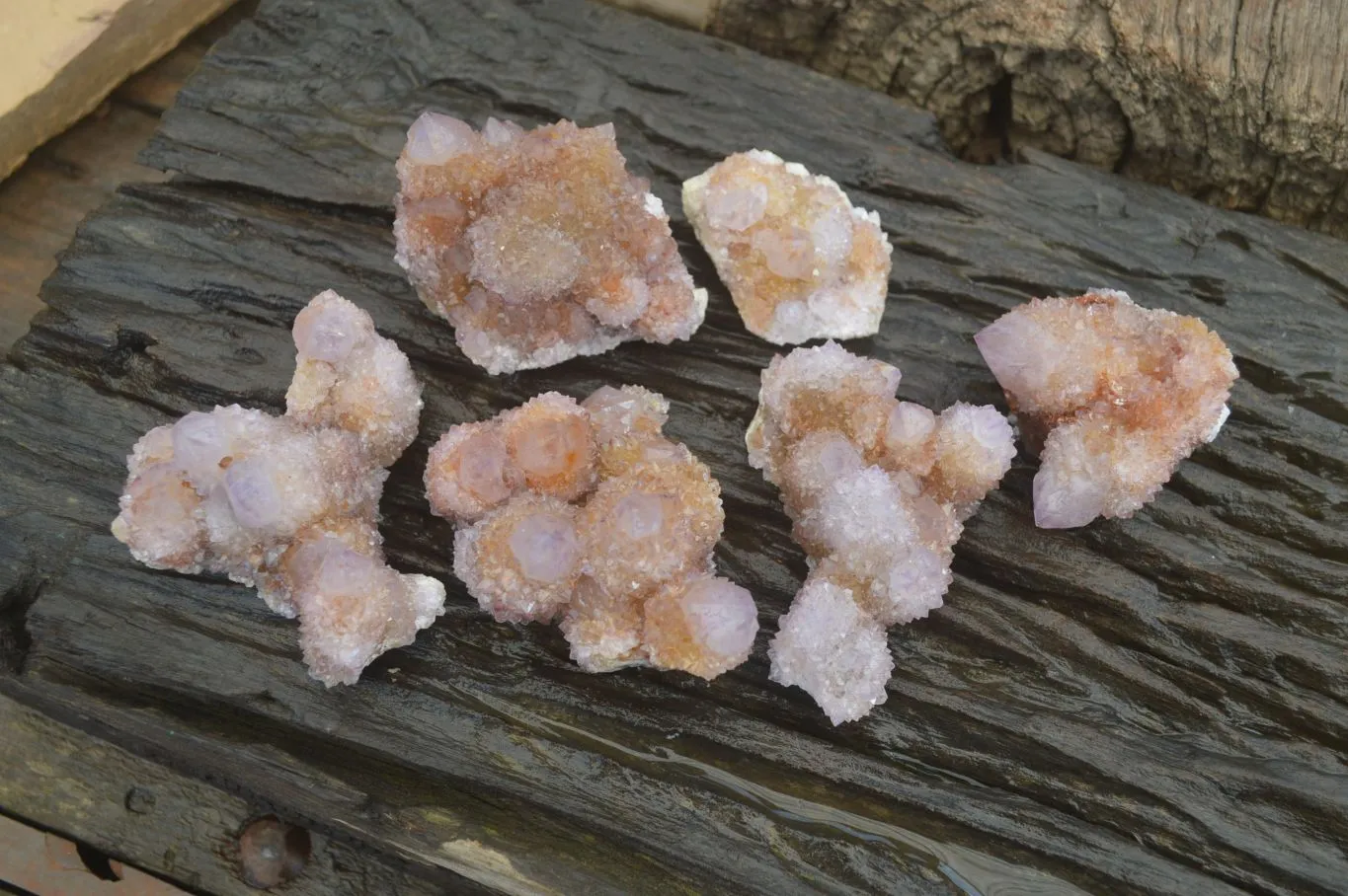 Natural Spirit Ametrine Quartz Clusters x 6 From Boekenhouthoek, South Africa