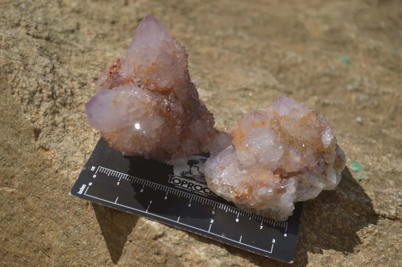 Natural Spirit Ametrine Quartz Clusters x 6 From Boekenhouthoek, South Africa