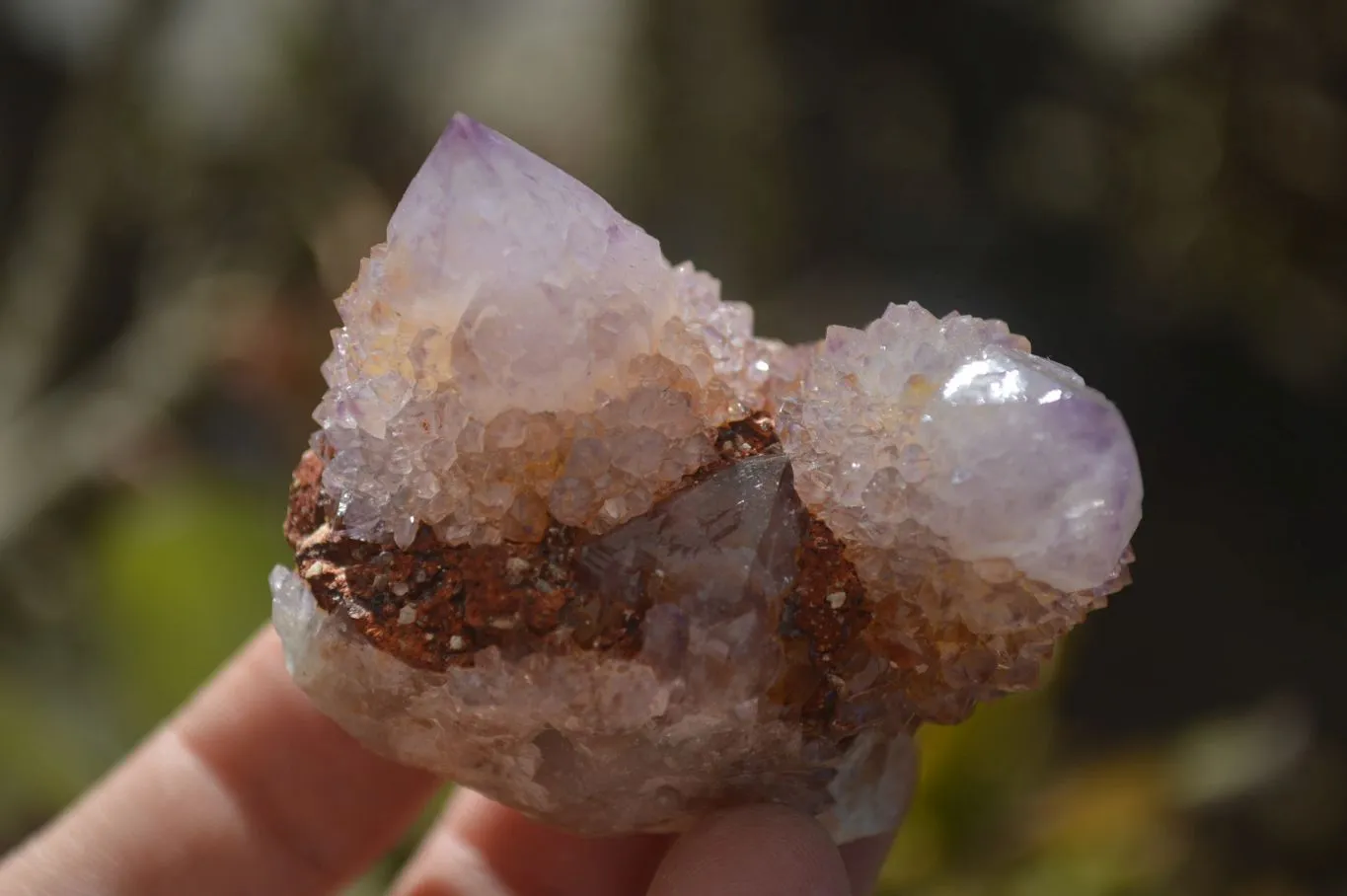 Natural Spirit Ametrine Quartz Clusters x 6 From Boekenhouthoek, South Africa