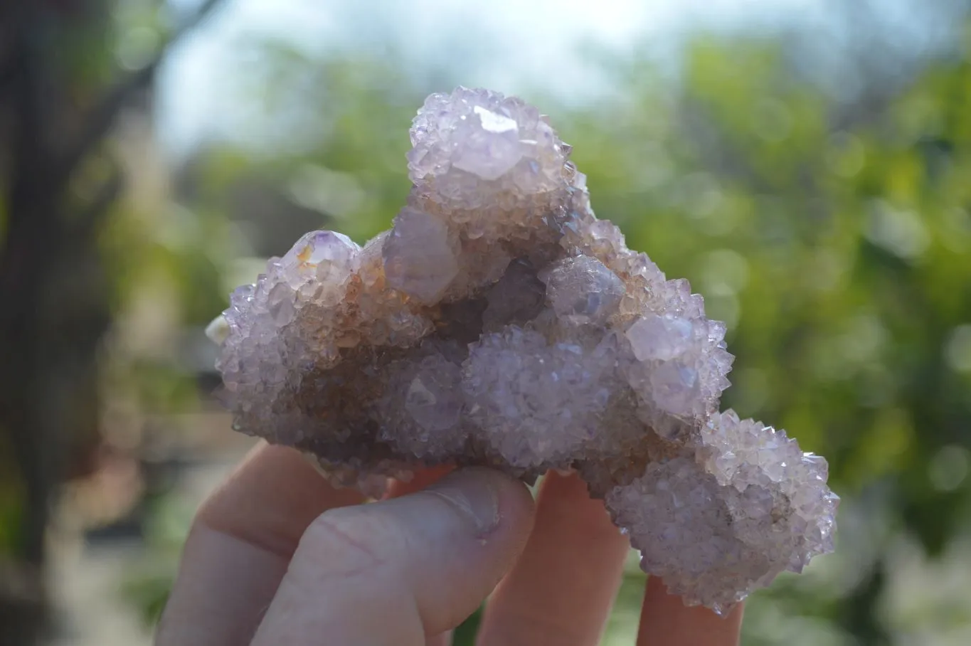 Natural Spirit Ametrine Quartz Clusters x 6 From Boekenhouthoek, South Africa