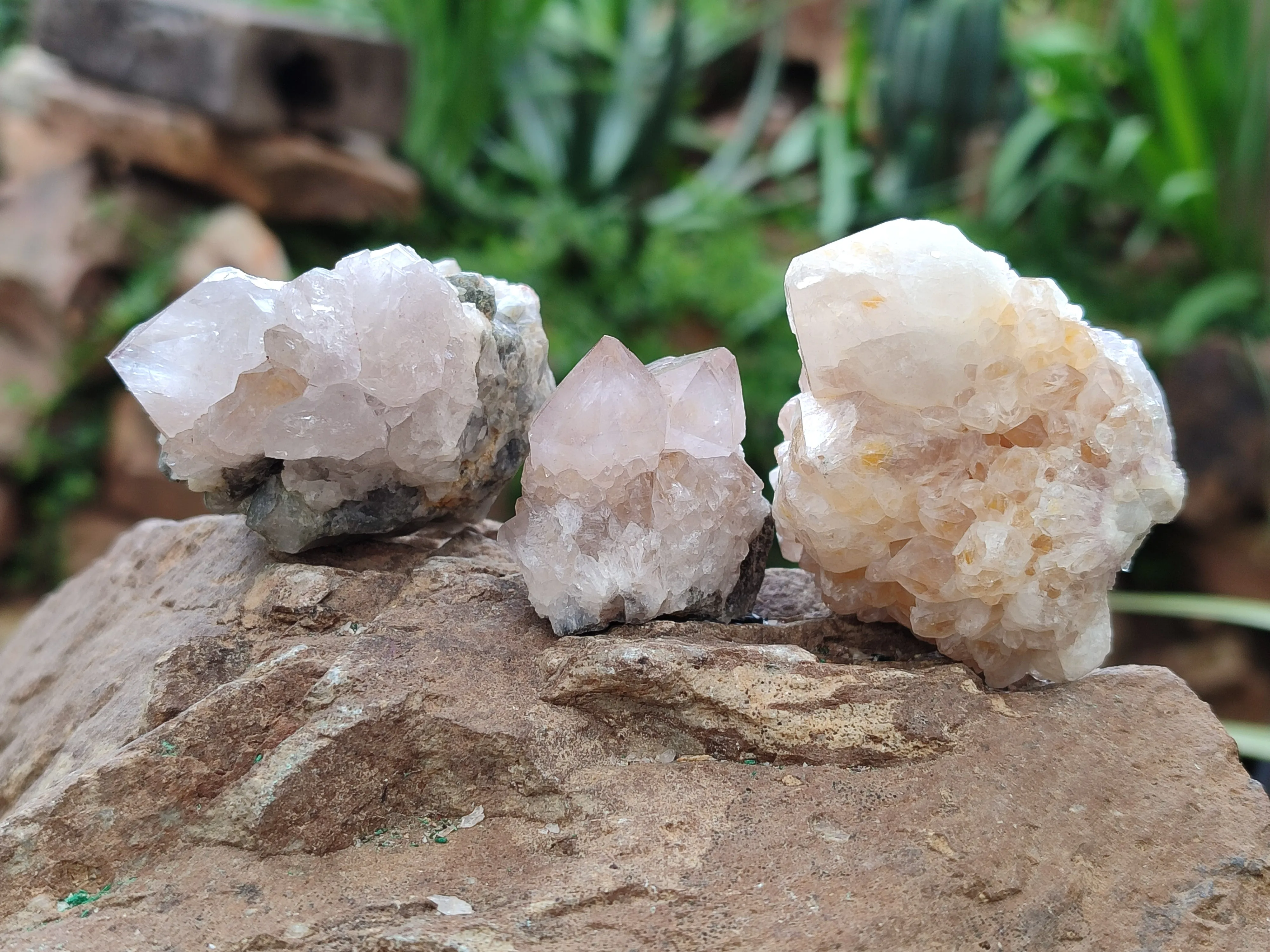 Natural Spirit Quartz Clusters x 35 From Boekenhouthoek, South Africa