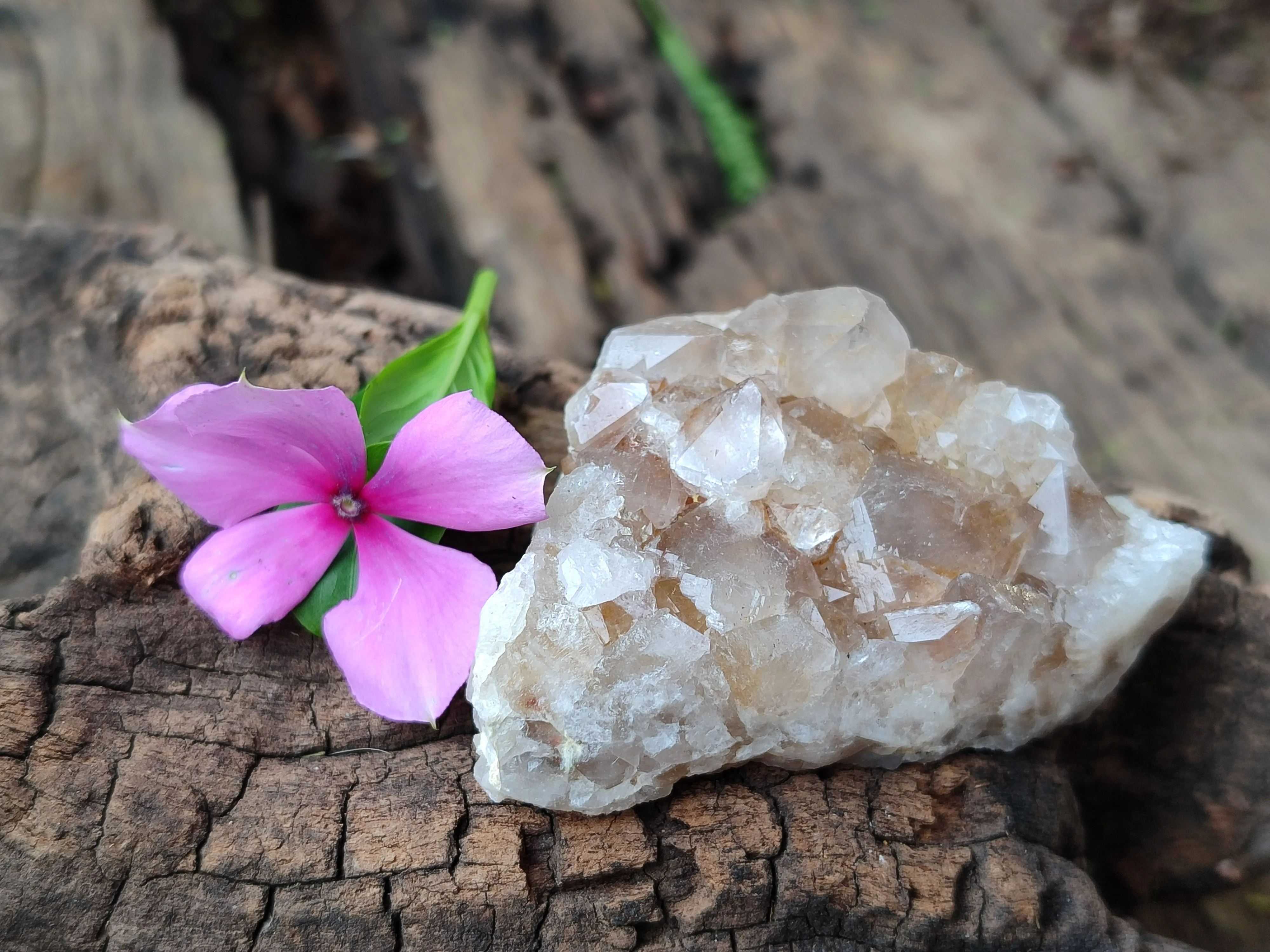 Natural Spirit Quartz Clusters x 35 From Boekenhouthoek, South Africa