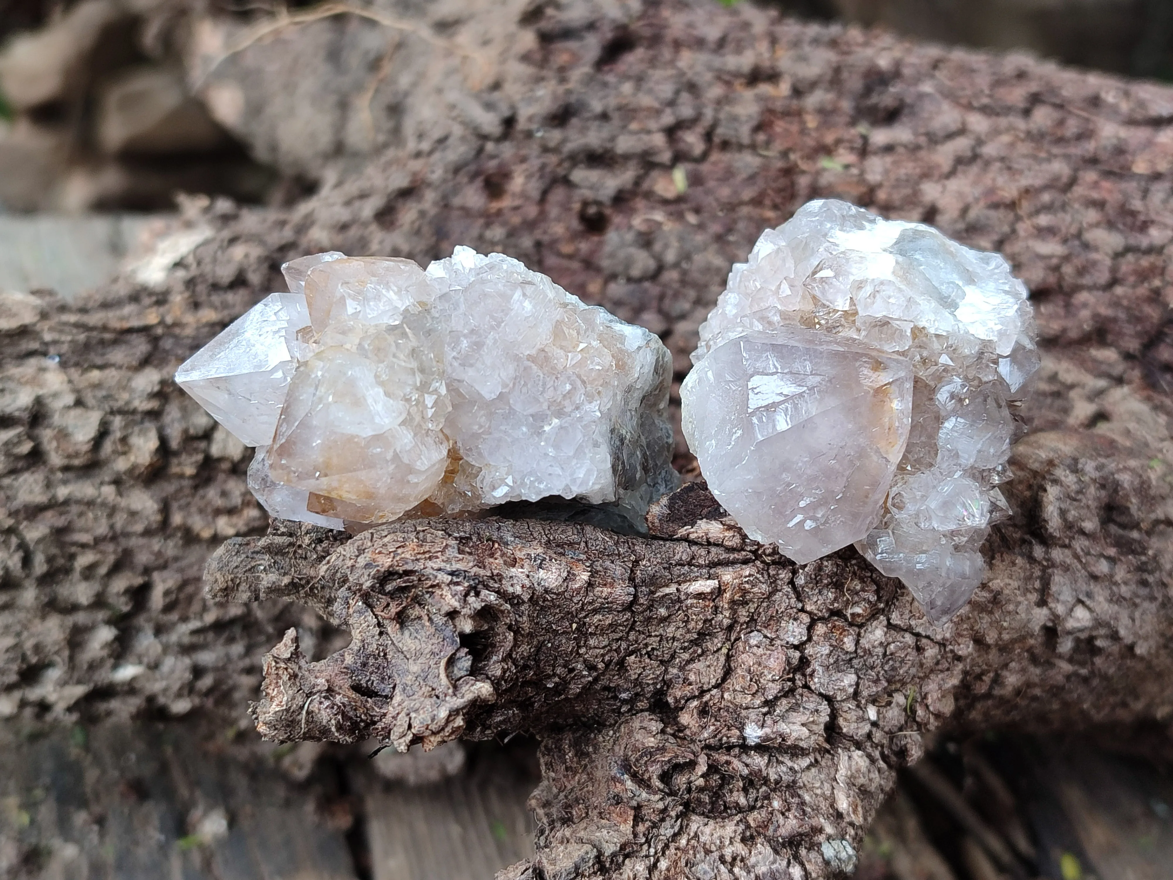 Natural Spirit Quartz Clusters x 35 From Boekenhouthoek, South Africa