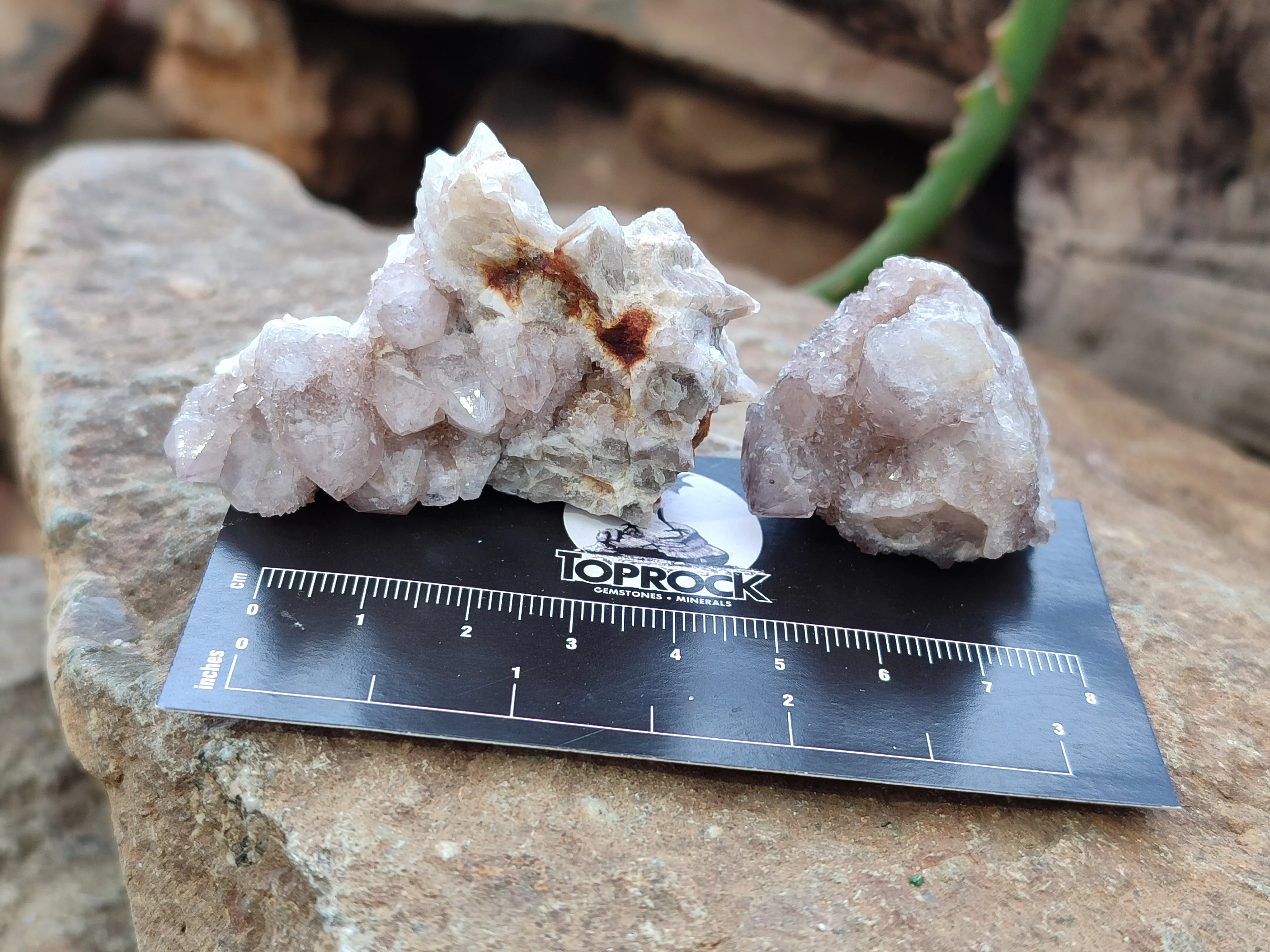 Natural Spirit Quartz Clusters x 35 From Boekenhouthoek, South Africa