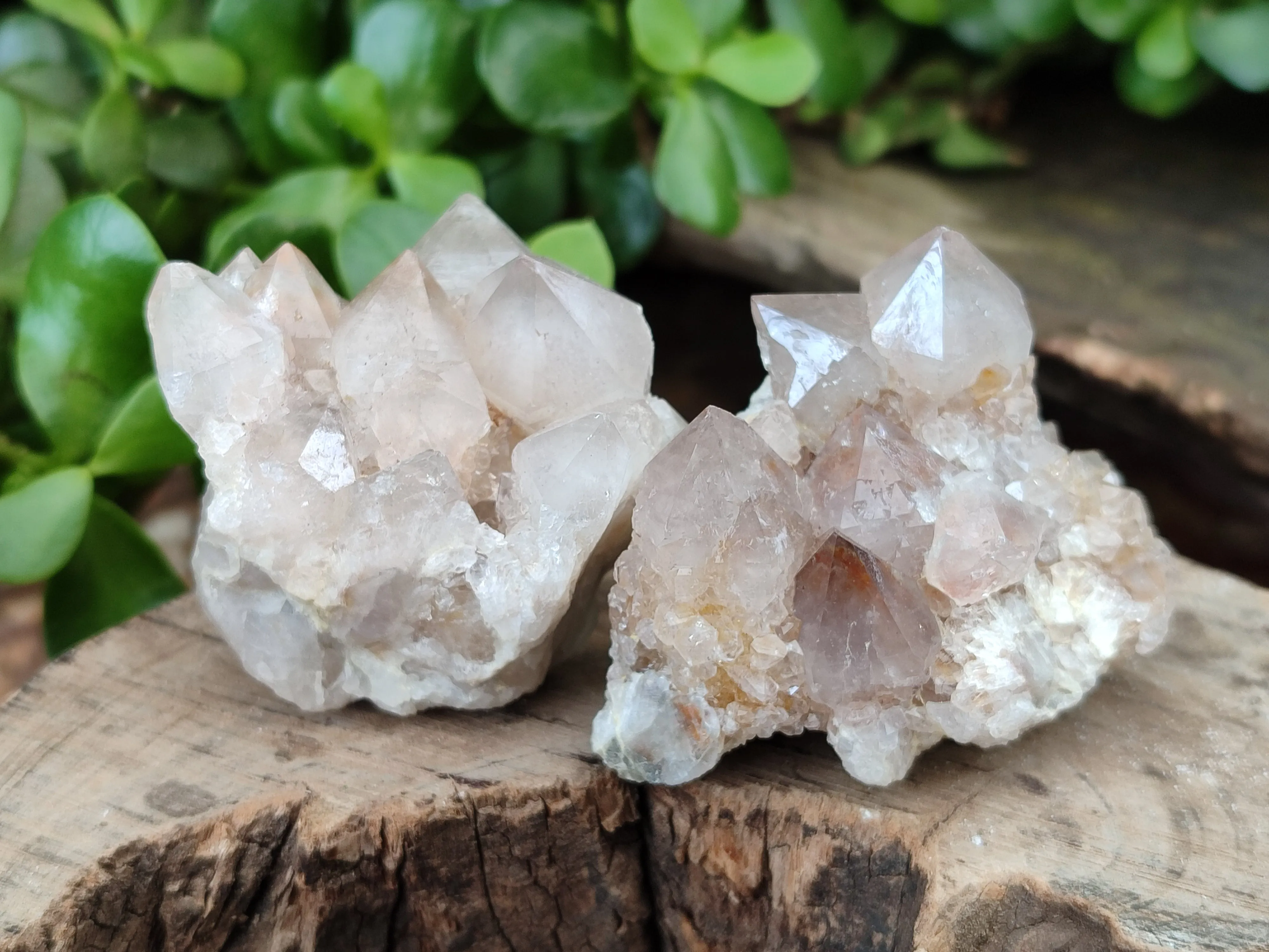 Natural Spirit Quartz Clusters x 35 From Boekenhouthoek, South Africa