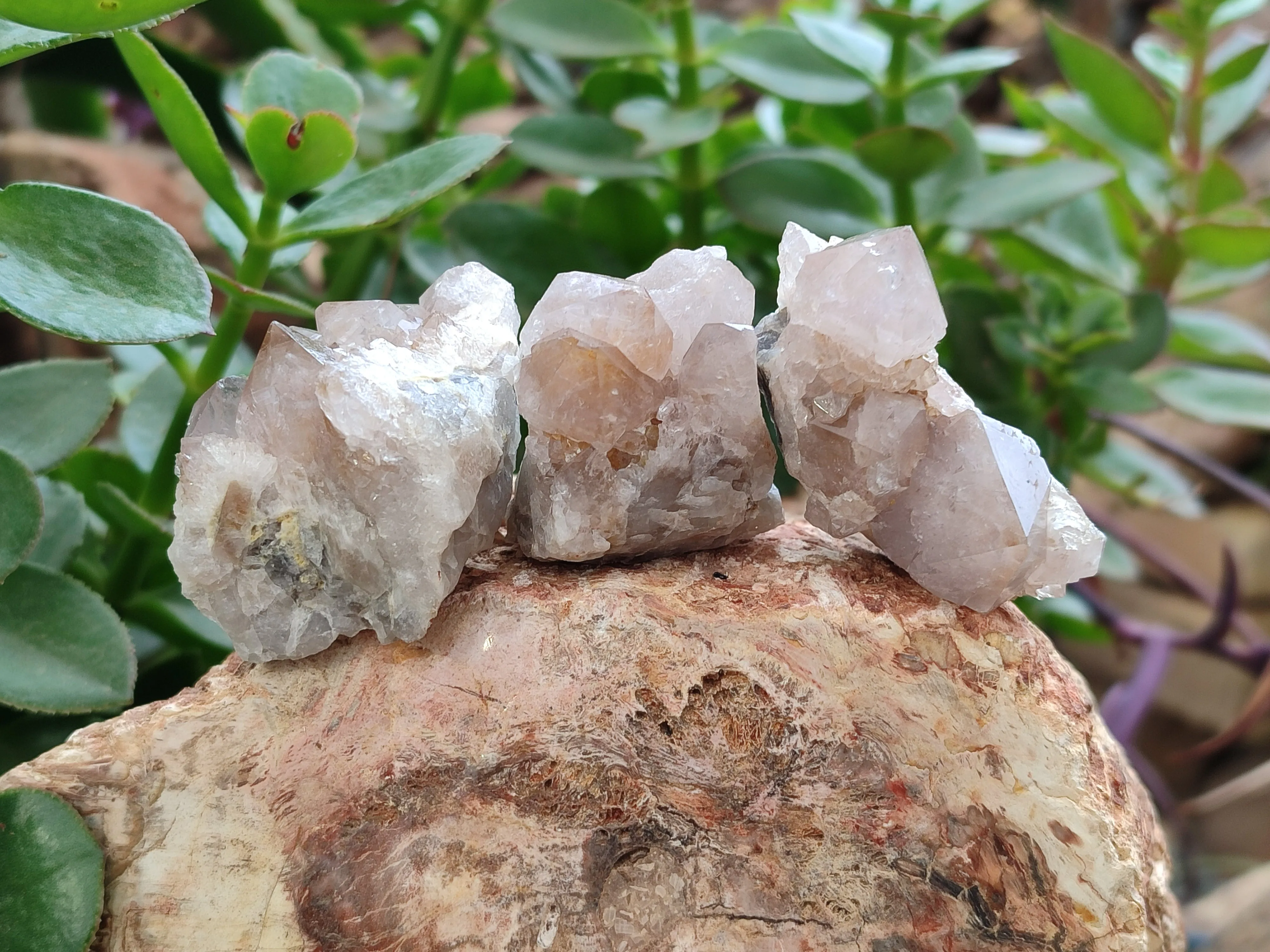 Natural Spirit Quartz Clusters x 35 From Boekenhouthoek, South Africa