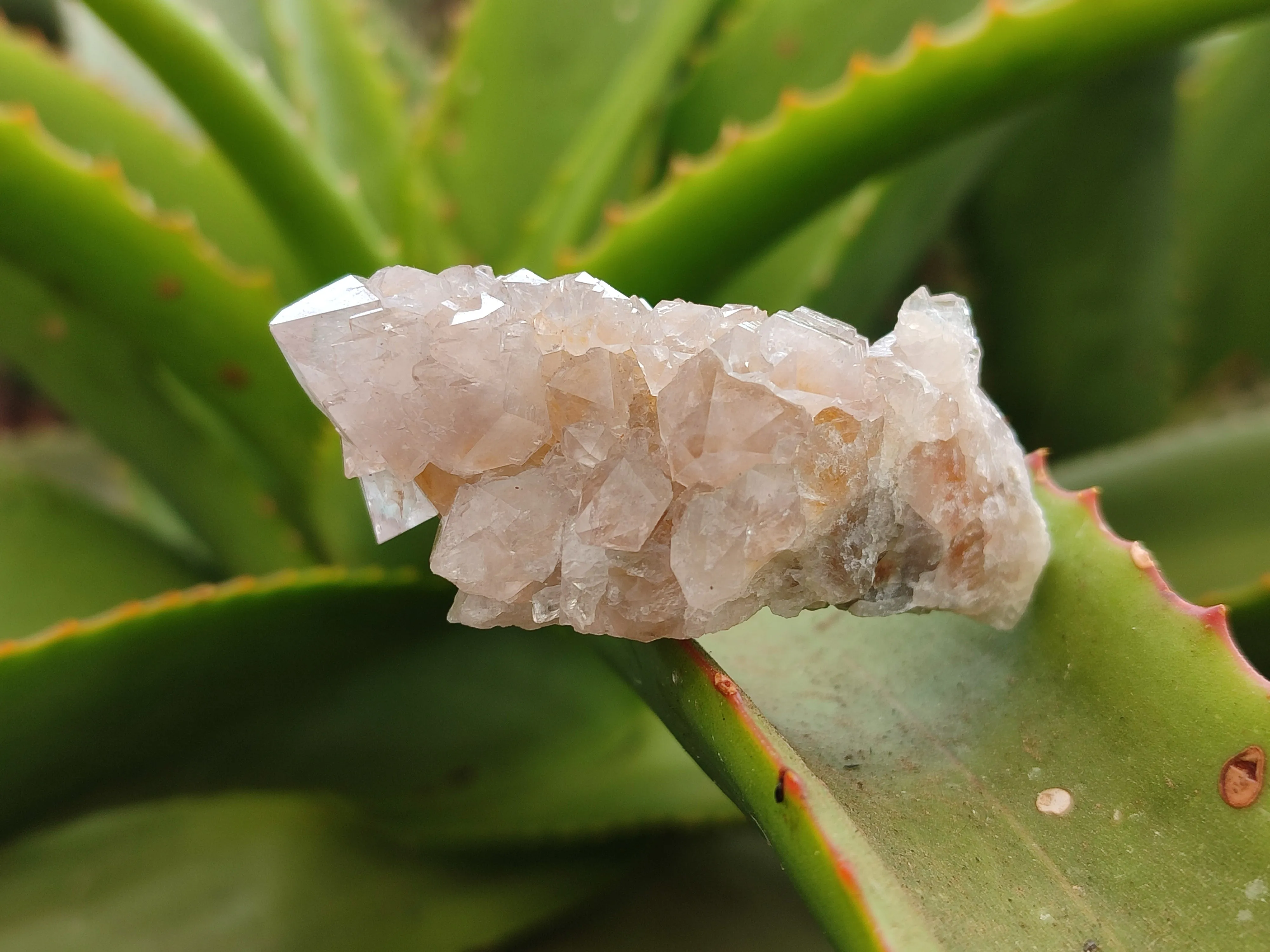 Natural Spirit Quartz Clusters x 35 From Boekenhouthoek, South Africa