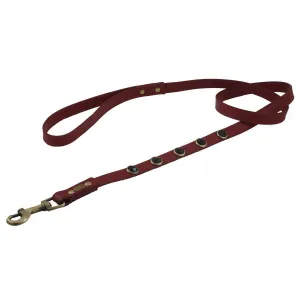 Onyx Pebble Dog Leash