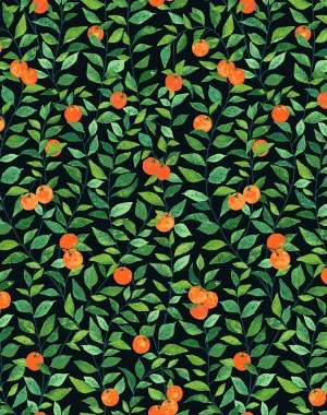 Orange Crush Peel   Stick Wallpaper by Nathan Turner, Onyx Swatch