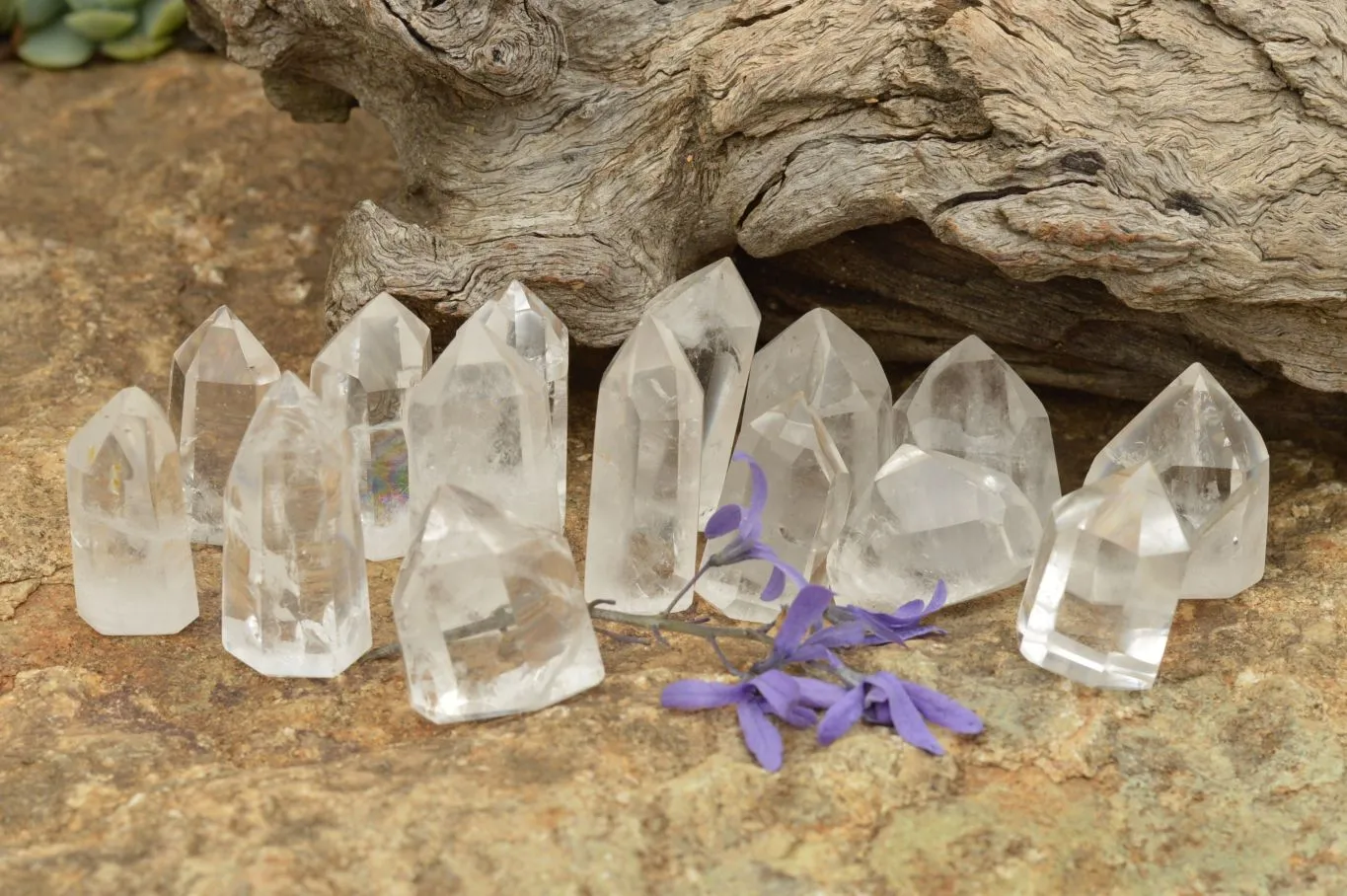 Polished Small Semi Optic Quartz Points x 35 From Madagascar