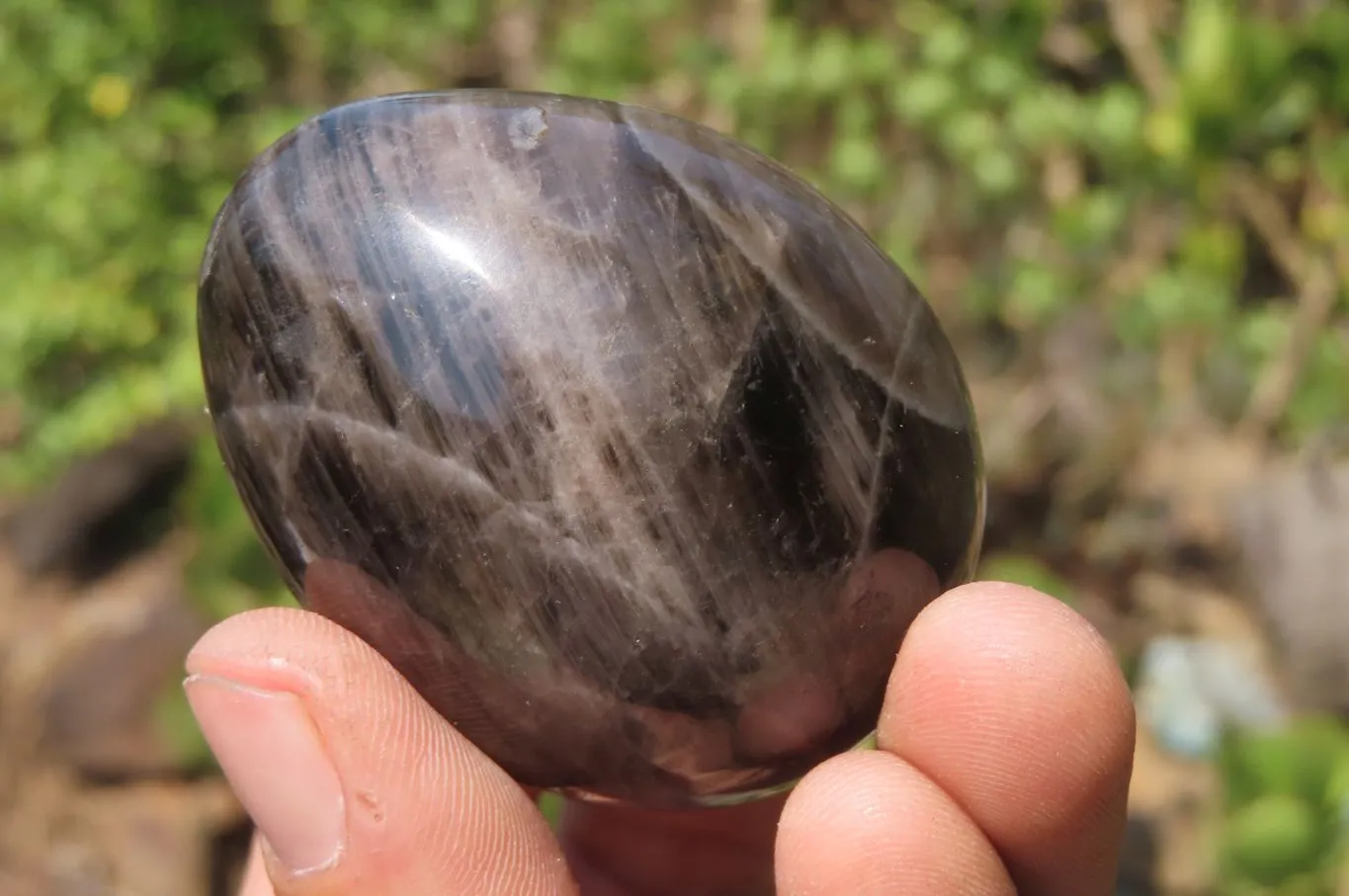 Polished Smokey Quartz Gemstone Eggs x 6 From Madagascar